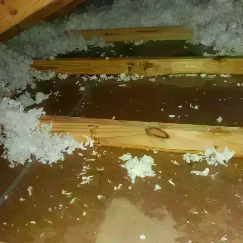 Attic Water Damage in Stanardsville, VA